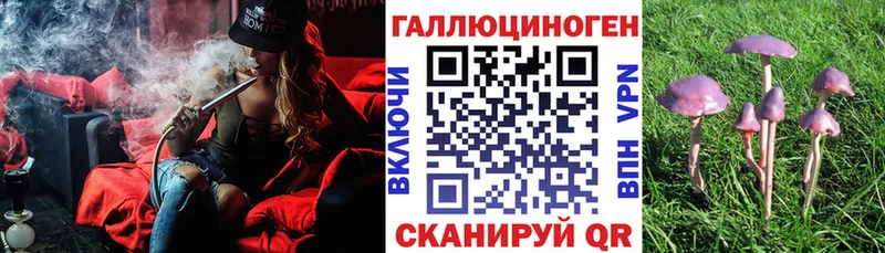 hydra зеркало  Избербаш  Псилоцибиновые грибы Psilocybe 
