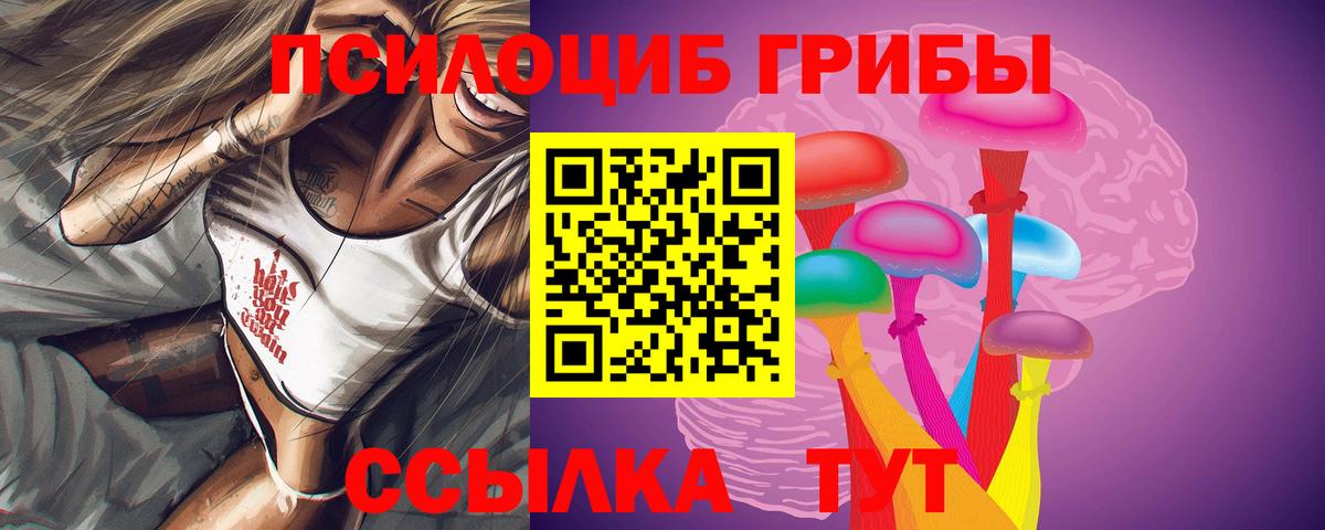 Псилоцибиновые грибы GOLDEN TEACHER  Вход с VPN  Галлюциногенные грибы GOLDEN TEACHER  Избербаш 