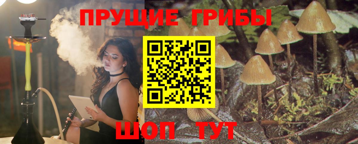 Галлюциногенные грибы ЛСД Избербаш